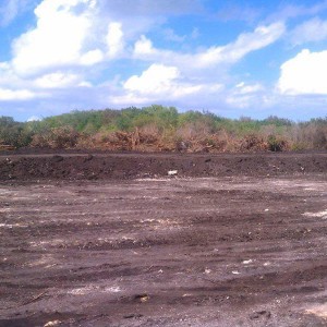 Exploration Park Innovation Central, Kennedy Space Center, Florida