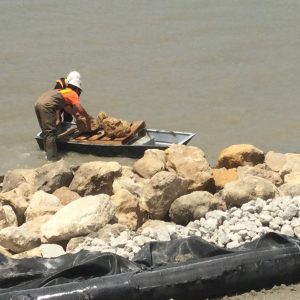 CPA S.R. 401 Shoreline Stabilization