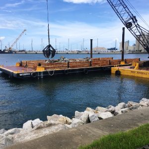 CPA Cove Embankment Repairs – Milliken’s Site