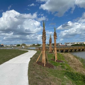 Brevard County Veterans Park Improvements