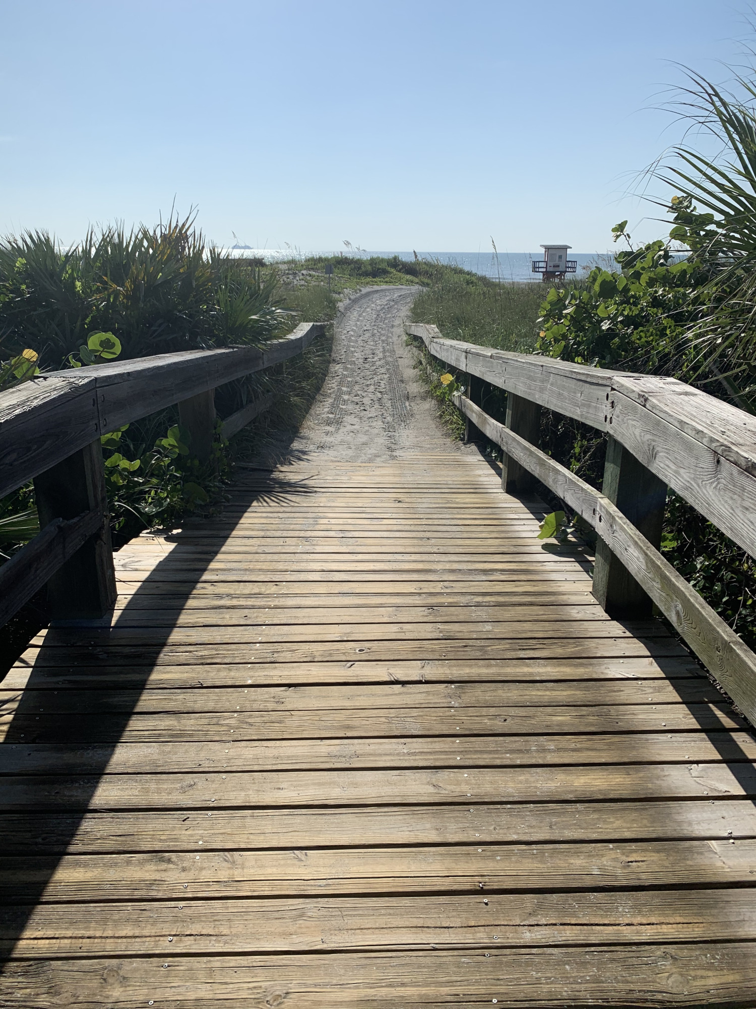 RUSH Construction, Inc. - Lori Wilson Park