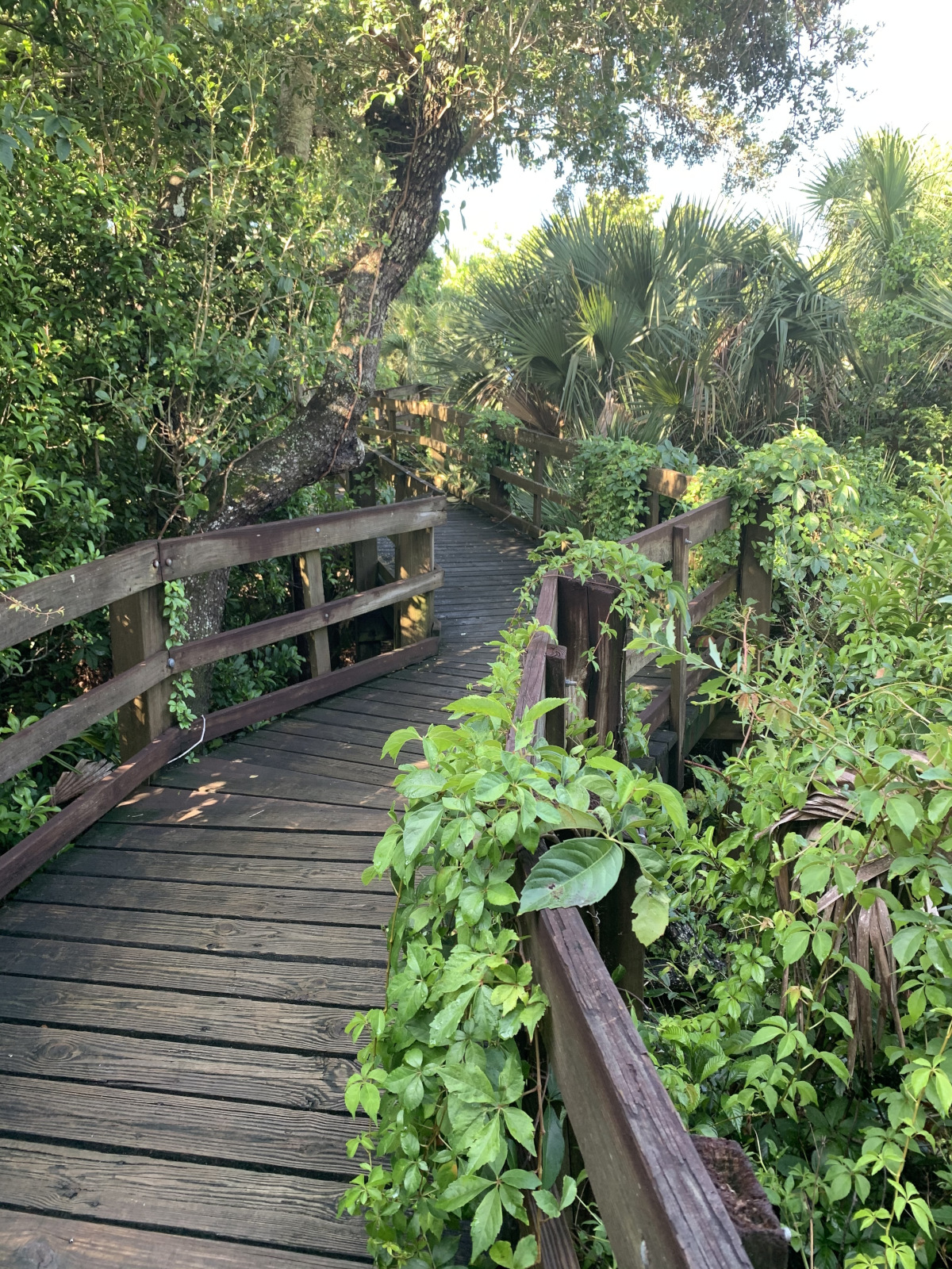 RUSH Construction, Inc. - Lori Wilson Park