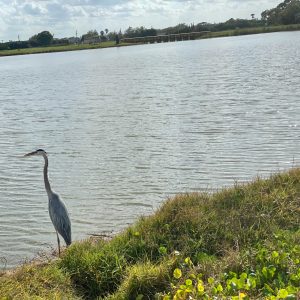 Brevard County Veterans Park Improvements